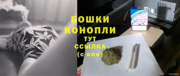 индика Сафоново