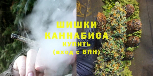 индика Сафоново