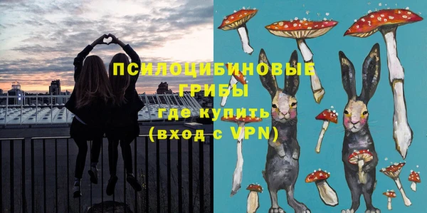 индика Сафоново