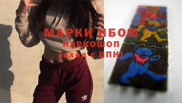 индика Сафоново