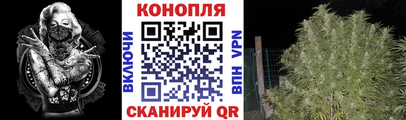 Бошки Шишки семена  Купить закладки  Кондопога 